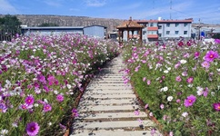 黄 色 成 人影院